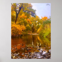 Autumn Shore