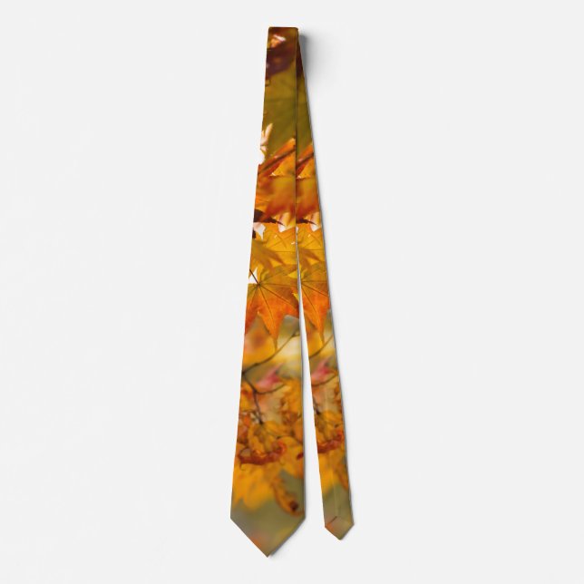 Autumn - Simple harmony Neck Tie (Front)