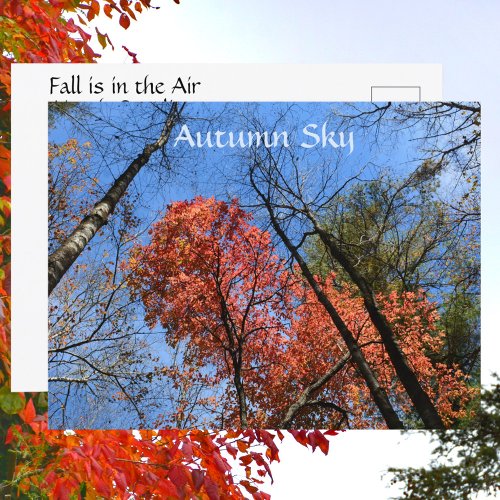 Autumn Sky Colorful Autumn Trees Photographic Postcard