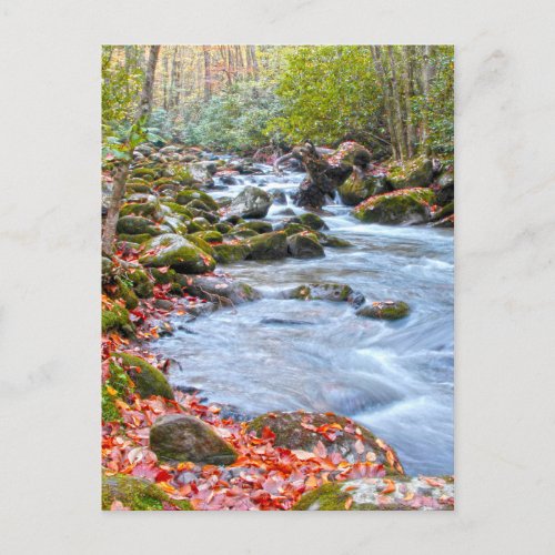 Autumn Smoky Mountain Stream Fall Colors Photo Postcard