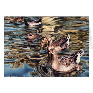 Autumn Song - geese and ducks in pond Cards