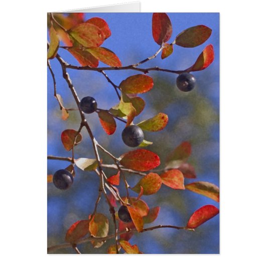 Autumn Sparkleberry Cards (Front)