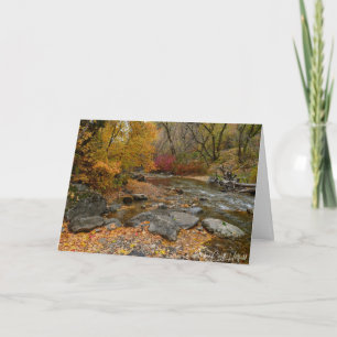 Autumn Splendor Card