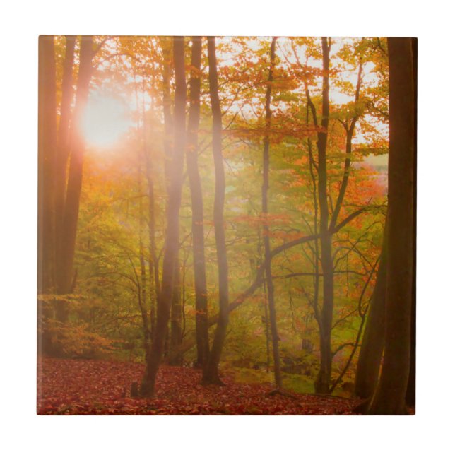 Autumn Splendor Ceramic Tile (Front)