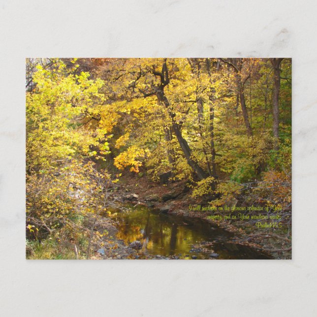 Autumn Splendor III Postcard (Front)