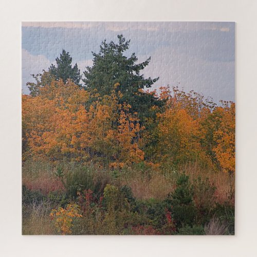 Autumn Splendor  Jigsaw Puzzle