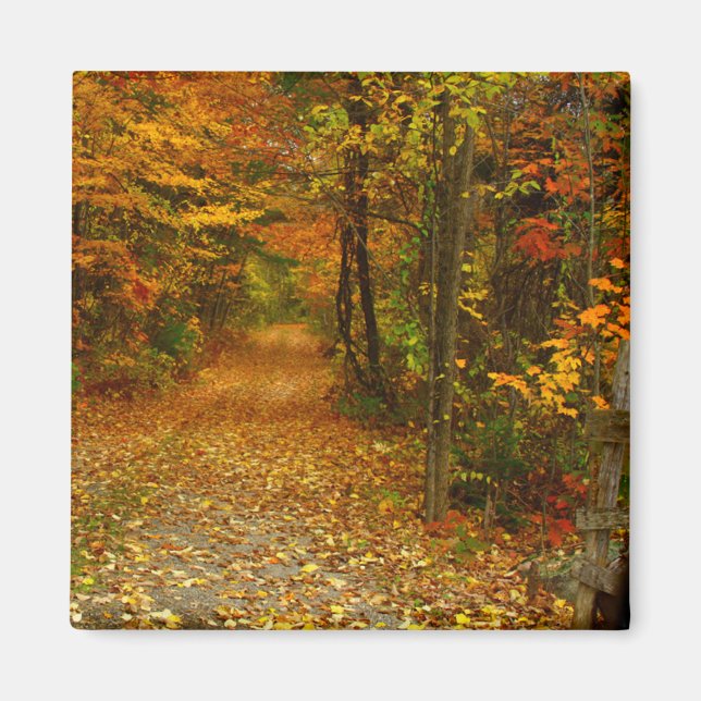 Autumn Splendor Magnet (Front)
