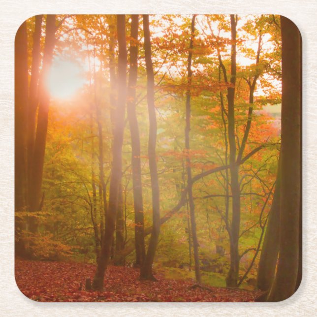 Autumn Splendor Square Paper Coaster (Front)