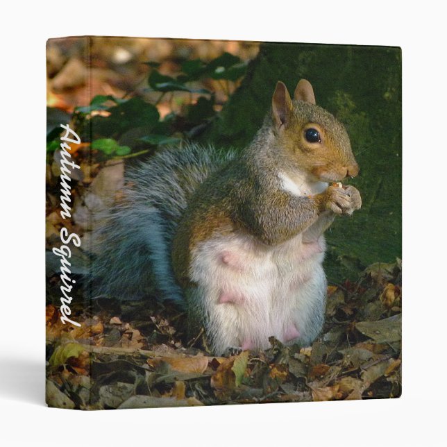 Autumn Squirrel (1in) 3 Ring Binder (Front/Spine)