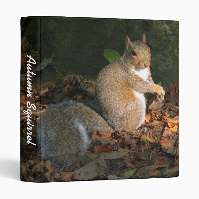 Autumn Squirrel II (1in) 3 Ring Binder (Front/Spine)
