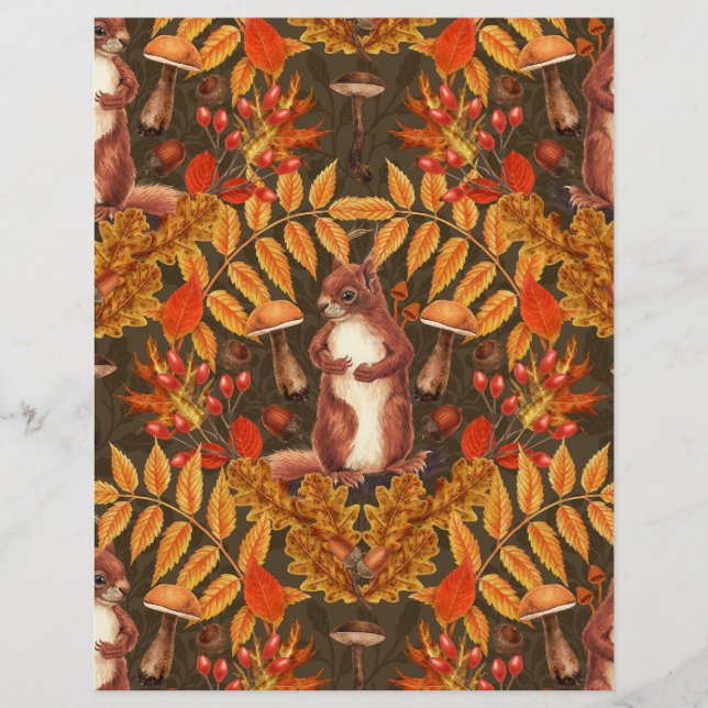 Autumn squirrel on dark brown (Front)