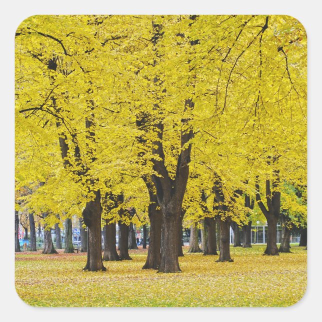 Autumn Sticker (Front)