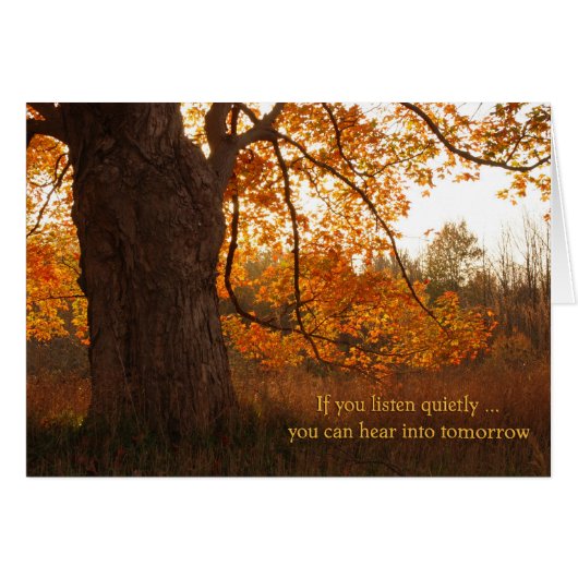 Autumn Stillness Cards (Front Horizontal)