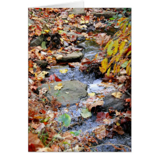 Autumn Stream Cards