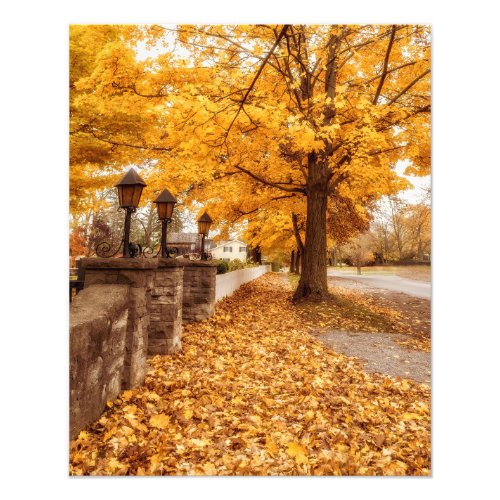 Autumn Street Scene Yellow Leaves Photo Print