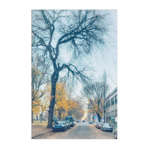 Autumn Street with Bared Tree Acrylic Print