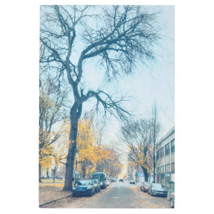 Autumn Street with Tall Bared Tree Metal Print