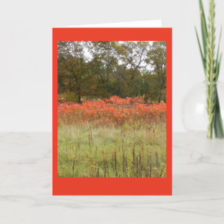 Autumn Sumac Blank Notecard