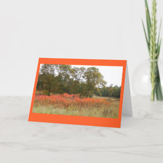 Autumn Sumac II Blank Notecard