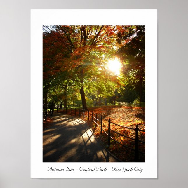 Autumn Sun - Central Park - New York City Poster (Front)