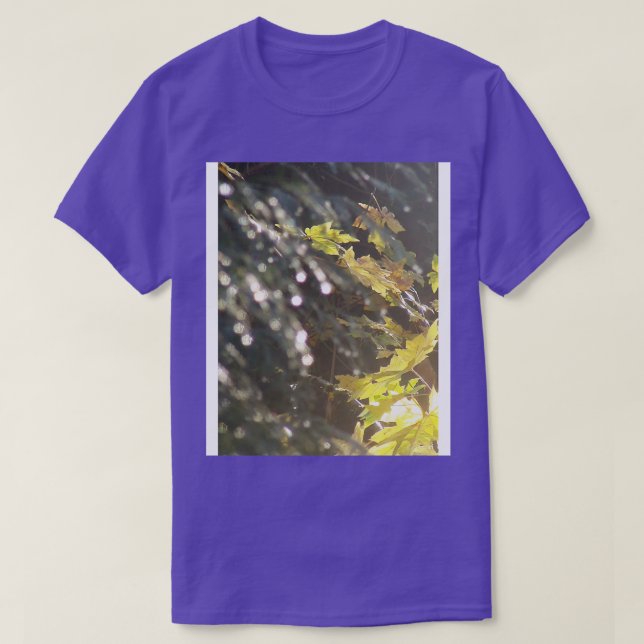 Autumn Sun Rays 53 T-Shirt (Design Front)