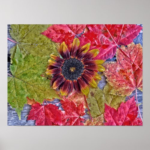Autumn Sunflower Red Yellow Maple Leaves Wood Poster