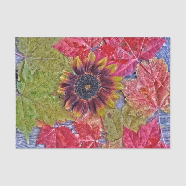 Autumn Sunflower Red Yellow Maple Leaves Wood Tissue Paper (Front)