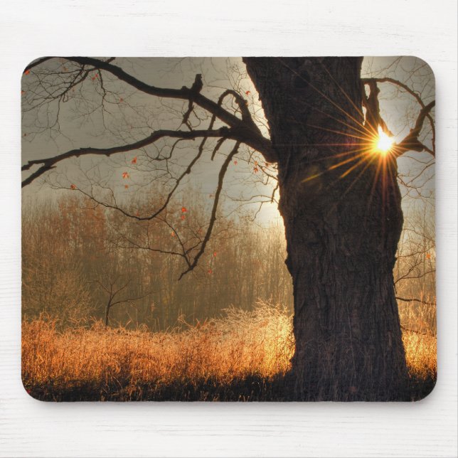 Autumn Sunrise Mouse Pad (Front)