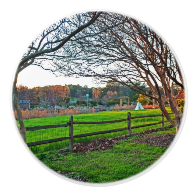 Autumn Sunset by Shirley Taylor Ceramic Knob (Front)