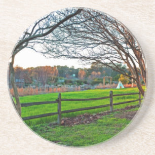 Autumn Sunset by Shirley Taylor Drink Coaster