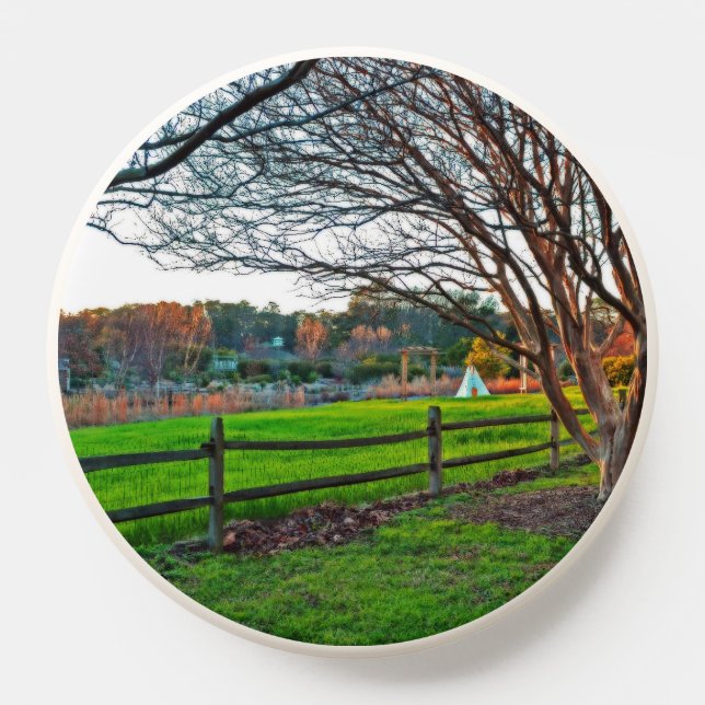 Autumn Sunset by Shirley Taylor PopSocket (Popsocket)