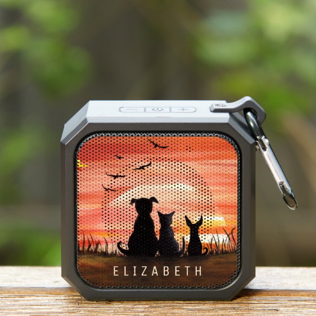 Autumn Sunset Dog and Cat Personalized Bluetooth Speaker (Insitu(Outdoor))