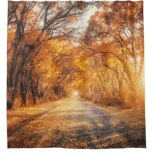 Autumn Sunset: Forest Road Scenery. Shower Curtain (Front)