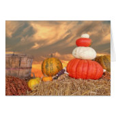 Autumn sunset with pumpkins (Front Horizontal)