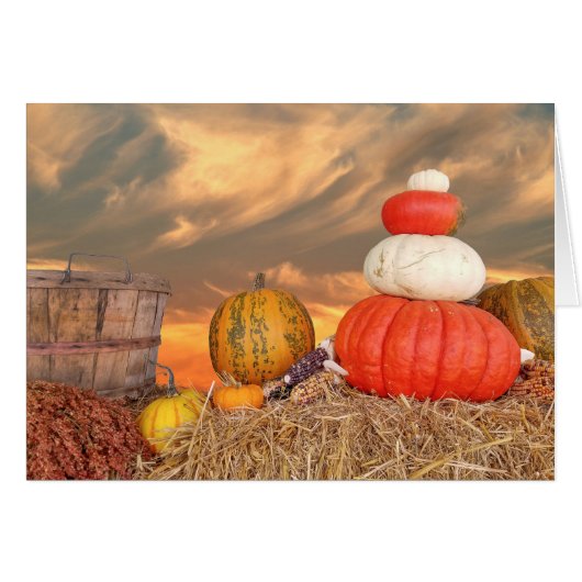 Autumn sunset with pumpkins cards (Front Horizontal)