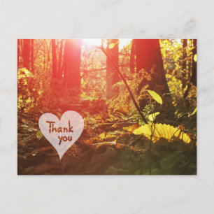 Autumn Sunshine Forest Heart Thank You Postcard