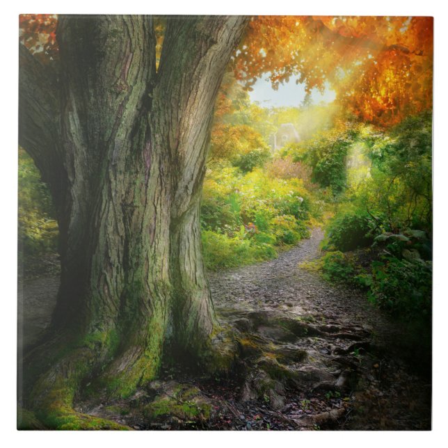 Autumn - The path to grannies house Ceramic Tile (Front)