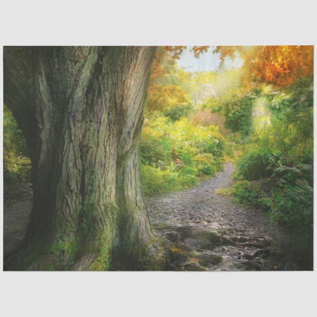 Autumn - The path to grannies house Tissue Paper (Front)