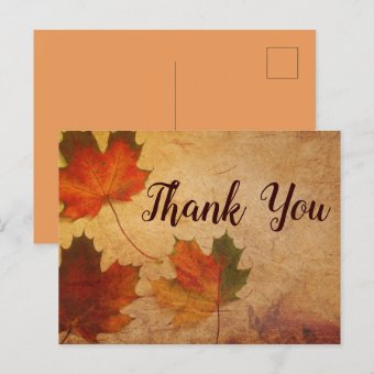 Autumn themed Fall Leaves Postcard | Zazzle