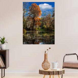 Autumn time by a well-hidden pond, full of colors poster