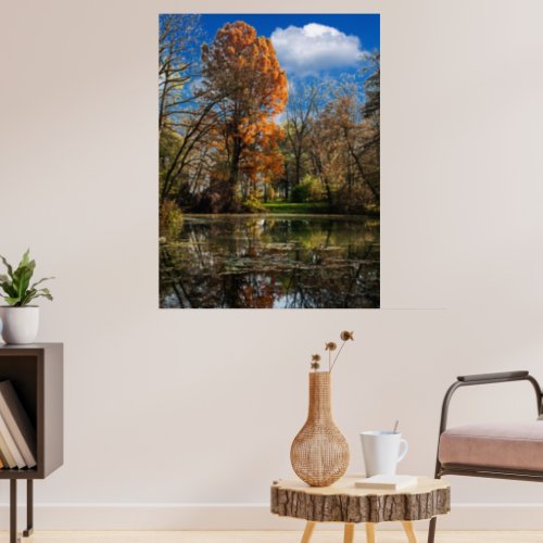 Autumn time by a well_hidden pond full of colors  poster