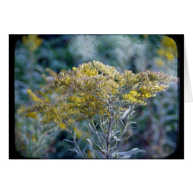Autumn Time Flowers Cards (Front Horizontal)