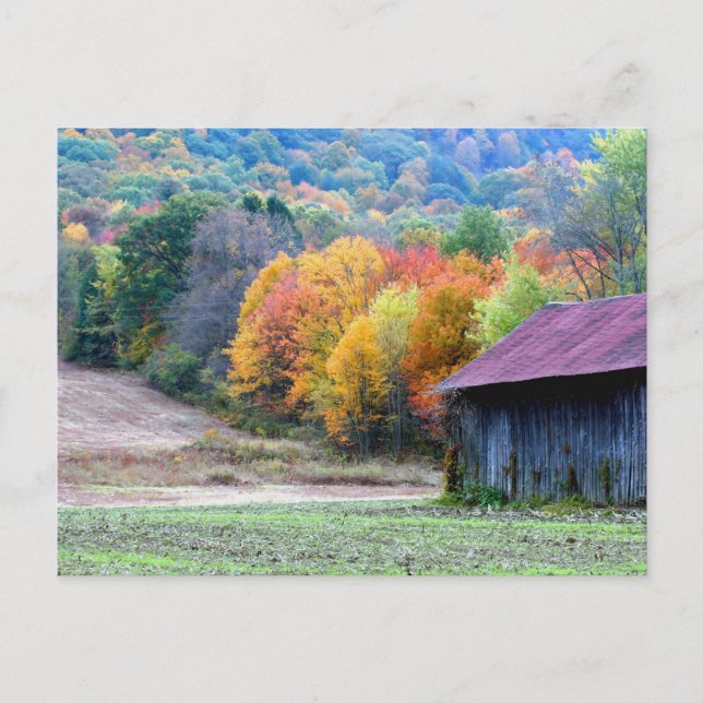 Autumn Tobacco Barn Nature Photography Postcard (Front)