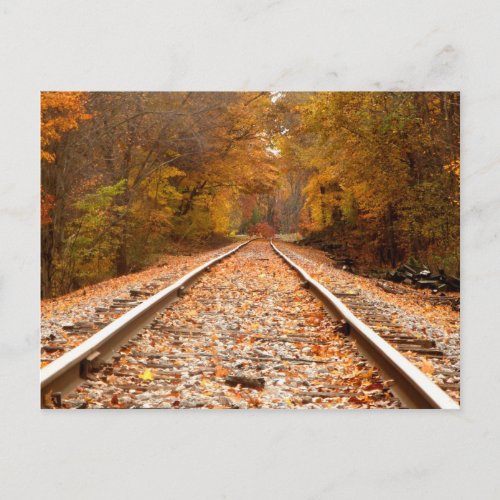 Autumn Tracks postcard