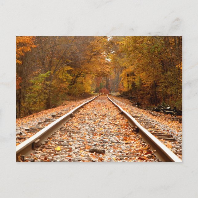 Autumn Tracks postcard (Front)