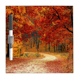 Autumn Trail Dry Erase Board