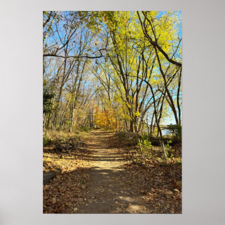 Autumn Trail Poster