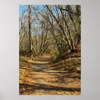 Autumn Trail Poster