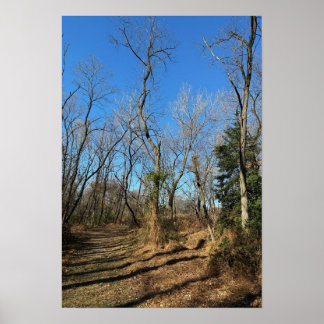 Autumn Trail Poster
