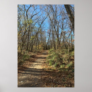 Autumn Trail Poster